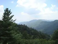 vista1.webp