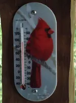 birdometer.webp
