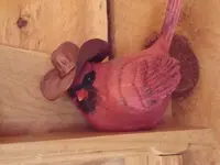 cowboycardinal.webp
