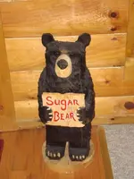sugarbear.webp