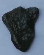 beach find 1.webp