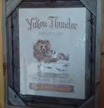 Thunder.webp