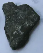 beach find 2.webp