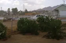 Monsoon.webp