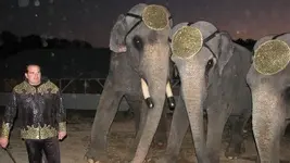 Bo\'s owner, Bo, and two lady friends.webp