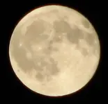 my moon.webp