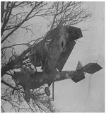plane in tree.webp