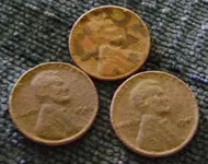 wheats1.webp