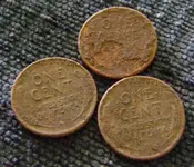 wheats.webp