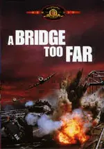 bridgetoofar2.webp
