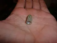 DSCF0264.webp