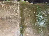 DSCF4146.webp