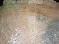 DSCF4147.webp