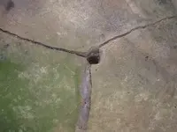 DSCF4150.webp