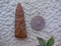 DSCN1099.webp
