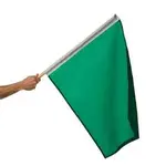 racegoflag.webp