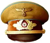 political visor.webp