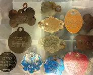 IMG_20160110_220442.webp