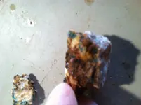 photo 22 copper.webp