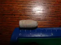DSCF2921.webp