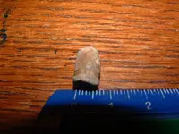DSCF2922.webp