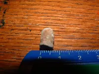 DSCF2923.webp