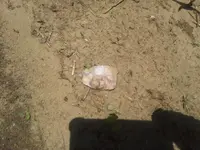 20140524_131055.webp
