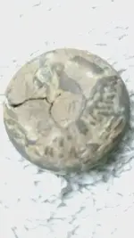 1452522107053-932154455.webp