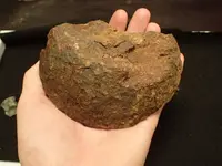 OI000007.webp