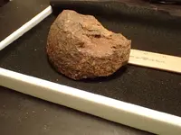 OI000009.webp