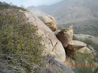 DSCN7255.webp