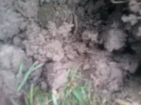 1223151408.webp