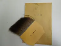 dscn0345.webp