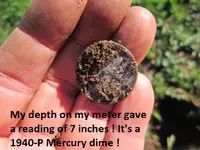 Gold ring on Gopher Mound 001.webp