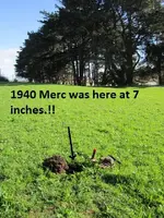 Gold ring on Gopher Mound 005.webp