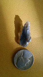 IMG_20160111_101300869.webp