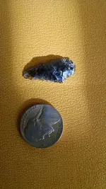 IMG_20160111_101246445.webp