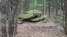 20150419_131636.webp