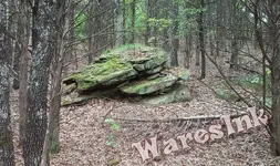 IMG_20150919_093535.webp