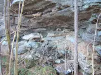 DSCF4159.webp