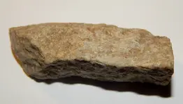 DSCN1469.webp