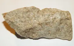 DSCN1470.webp