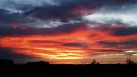 IMG_20160130_072614.webp