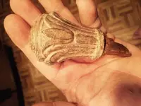 ImageUploadedByTreasureNet.com1451957715.134623.webp ImageUploadedByTreasureNet.com1451957715.134623.webp