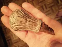 ImageUploadedByTreasureNet.com1451957735.377156.webp ImageUploadedByTreasureNet.com1451957735.377156.webp