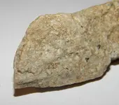 DSCN1475.webp