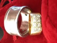 ImageUploadedByTreasureNet.com1454876637.648397.webp