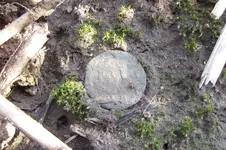 IMG_2438.webp
