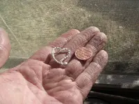 DSCN0485.webp