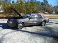 89 mustang 003.webp